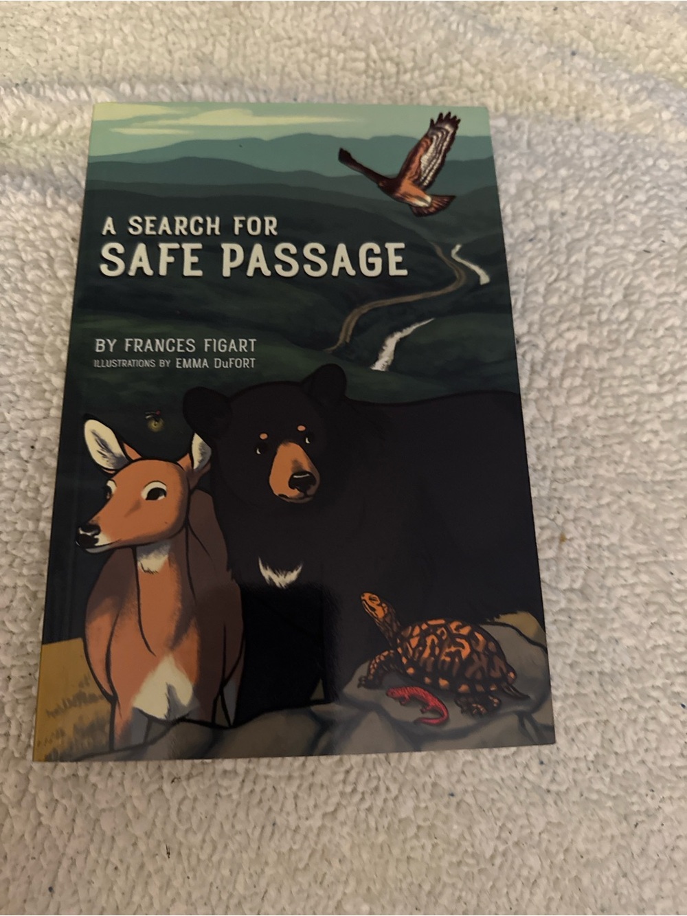 A search for safe passage